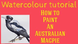 Watercolour tutorial ,how to paint an Australian magpie