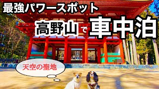 【車中泊】キャンピングカーで最強パワースポット高野山｜聖地中の聖地 奥之院と金剛峯寺を巡る｜最高のごま豆腐丼\