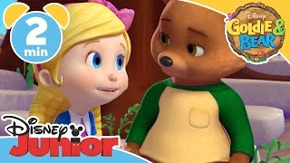 Goldie & Bear | Forget Me Lots | Disney Junior UK