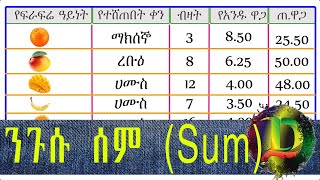 Excel – Sum Function/ ንጉሱን ሰም ፈንክሽን በቀላል መንገድ ከስር መሰረቱ ይማሩ - Zizu Demx