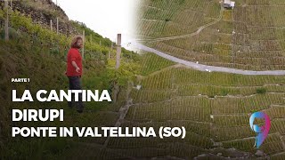 La cantina Dirupi, Ponte in Valtellina (SO) - PARTE 1