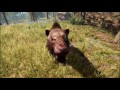 farcry primal配信 2時間くらい でんせつ の とら を て に いれたぞ！ 残り2匹待っててね