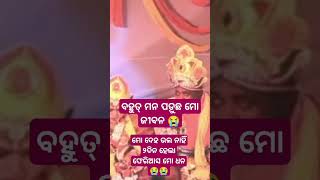 ଫେରିଆସ ମୋ ଧନ 😭#viral