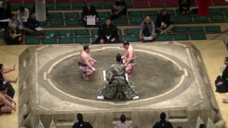 朝興貴-大岩戸/大相撲.2017.1.21(14)/asakoki-oiwato/day14 #sumo