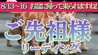 【守護霊からのメッセージ😌】ご先祖様リーディング✴️シンクロニシティを感じるタロット占い