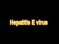 What Is The Definition Of Hepatitis E virus - Medical Dictionary Free Online Terms