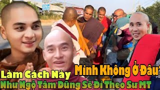 Tin Vui Làm Theo Cách Này Sư Như Ngộ Và Tâm Dũng Có Thể Sẽ Đi Theo Đoàn Sư Minh Tuệ