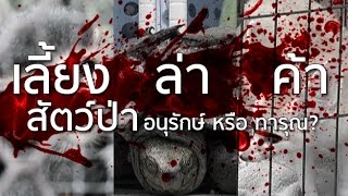 ไขปมข่าว 7/10/57 : เลี้ยง ล่า ค้า \