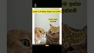 ඔයටත් මෙහෙම උනාද?.🤣🤣🤣🤣