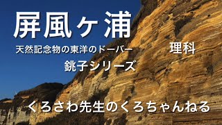 『屏風ヶ浦』千葉県：地層