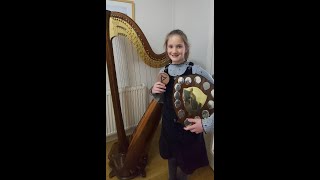 Harp performance. Gwyl cerdd dant Bro nansi