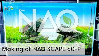 NAQ Scape 60-P