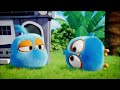 angry birds blues dvd trailer 2018