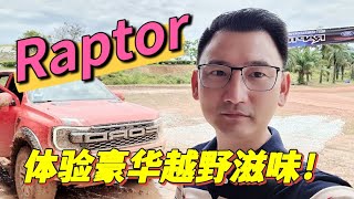 驾驶豪华皮卡进芭越野❓😱【Ranger Raptor】听。。那引擎咆哮和排气管的声音❗️😍 #rangerraptor #pickuptruck #raptor