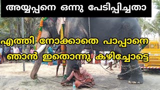 MANGALAMKUNNU AYYAPPAN l എത്തി നോക്കാതെ പാപ്പാനെ ഞാൻ ഇതൊന്നു കഴിച്ചോട്ടെ 😄