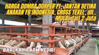 HARGA DOMBA DORPER FB LAHIRAN INDONESIA, F1 MULAI 2 Juta, Cross TEXEL, dll..❤️‍🔥❤️‍🔥