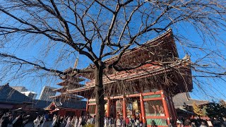 【浅草】雷門から浅草寺まで歩いてみた