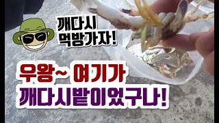 [ 쯔리박(つり朴) ] 헉! 깨다시꽃게 여기에 다 모여있었구나! 대박! (묵호항낚시,동해시낚시)