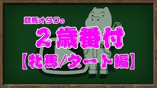 【2歳番付】某雑誌2歳担当者の最速クラシック予想！（牝馬/ダート編）