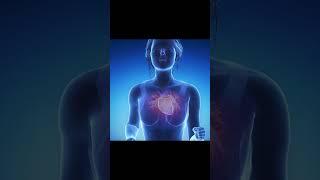 Full Body Healing Frequencies (528Hz) - Alpha Waves Massage The Whole Body, Regenerate Body Tissue