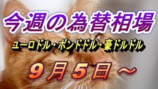 【TAKA FX】ユーロドル、ポンドドル、豪ドルドルの今週の為替相場の動きと来週の展望をチャートから解説。9月5日～