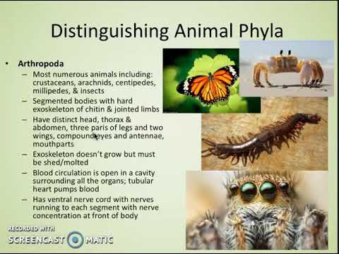 5.3 Classification of Biodiversity 5.3 Classification of Biodiversity