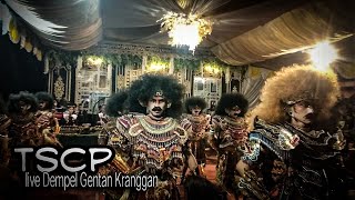 TSCP ndadi geden!! Live dempel gentan kranggan