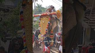 ഒരിക്കലും ചോരാത്ത പ്രൗഢിയോടെ രാമൻ്റെ Entry - Panthallur pooram - Thechikottukavu Ramachandran