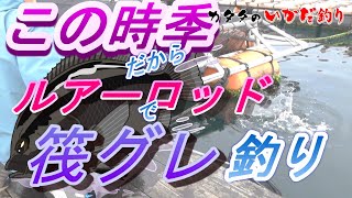 ルアーロッドで良型グレ釣り【カタタのいかだ釣り】