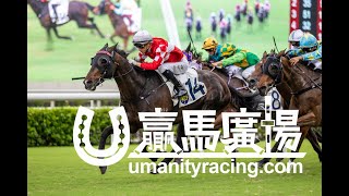 20241001 「國大合」勝出後練馬師廖康銘訪問