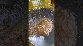 gold prospecting 2024, finding gold in sand, gold prospecting for beginners.#goldprospecting