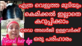 എത്ര വെളുത്ത മുടിയും കെമിക്കൽ ഇല്ലാതെ കറുപ്പിക്കാം# Beautician J'aime# Natural hair dye # Hair dye#