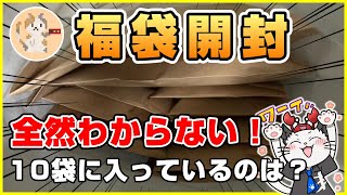 【開封動画】ヨーヨーさんから頂いたゲーム福袋！ファミコン？スーパーファミコン？何が出てくる！？【レトロゲーム】【プレゼント紹介】