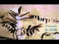 Amorphis - Summer's End @ 432Hz