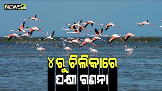 ଚିଲିକା: ଆସନ୍ତା ୪ ତାରିଖରୁ ଆରମ୍ଭ ହେବ ପକ୍ଷୀ ଗଣନା