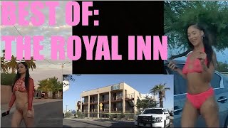 BEST OF: THE ROYAL INN