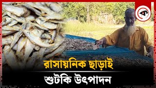 রাসায়নিক ছাড়াই চলছে শুটকি উৎপাদন | Dry Fish | Naldanga News | Kalbela