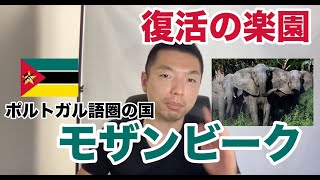 【54カ国全部やる】5分でわかるモザンビーク