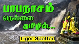 Papanasam in Tirunelveli Slang | நெல்லை தமிழ் | Tirunelveli Tamil | Nellai Tamil