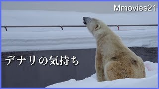 デナリは何を思っているでしょう？