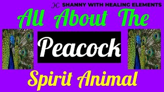 🦚 The Peacock Spirit Animal 🦚 ALL ABOUT THE PEACOCK SPIRIT 🦚❤🦚❤🦚❤🦚❤🦚❤🦚❤🦚❤🦚❤🦚❤