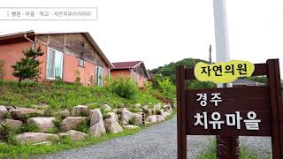 산 위에 마을, 병원, 학교. 자연치유아카데미