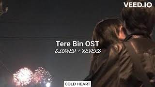 Tere Bin OST (SLOWED + REVERB) | Shani Arshad | COLD HEART