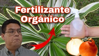 ¡ORO LÍQUIDO! TIENES QUE VER ESTE FERTILIZANTE ORGÁNICO, ABONO CASERO PARA TODAS LAS PLANTAS #2020