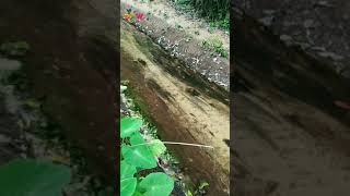 Protect our natural water sources (using coir bhoovastra. details in video description)