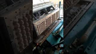 3000pcs/h egg tray making machine