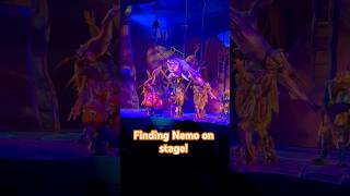 Finding Nemo show at the Animal Kingdom! #waltdisneyworld #disneycharacters