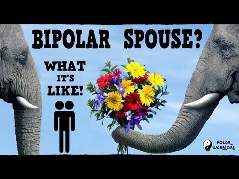 BIPOLAR SPOUSE OR PARTNER? A Perspective on Understanding Bipolar From Both Sides! BIPOLAR SPOUSE OR PARTNER? A Perspective on Understanding Bipolar From Both Sides!