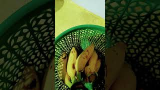 రాత్రిపూట అరటిపండు తింటే కలిగే లాభాలు #like # subscribe🔔 #banana #healthyfood