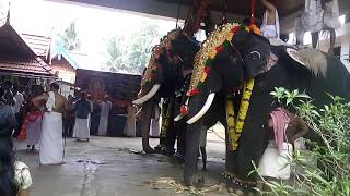 olari temple pradishtadhinam